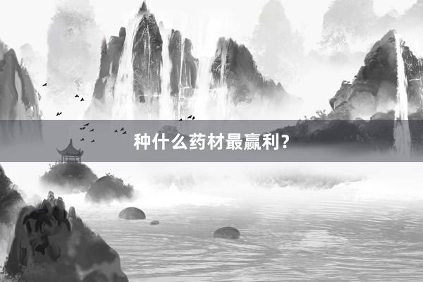 种什么药材最赢利？